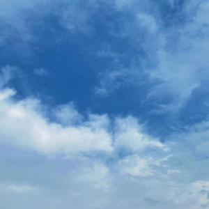 裸体学院(校园H)
