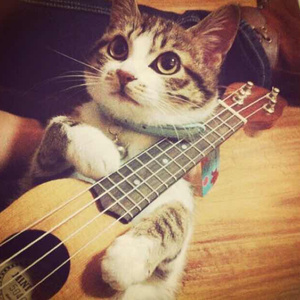 裸体学院(校园H)
