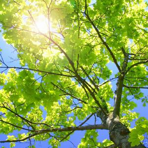 裸体学院(校园H)
